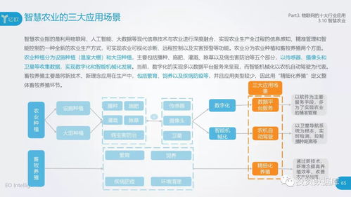 2018中國(guó)物聯(lián)網(wǎng)應(yīng)用研究報(bào)告 服務(wù)賦能，連接未來(lái)